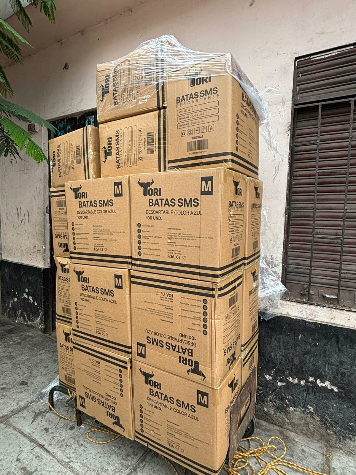 Stock y entregas SS Global